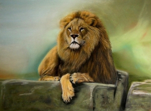 König im Tierreich
Pastell auf Pastelcard
30x 40 cm